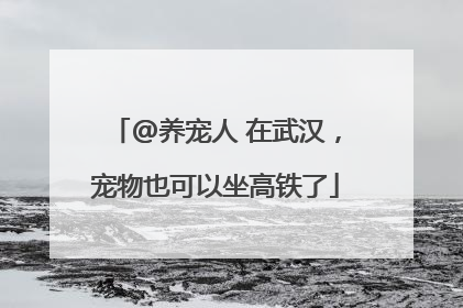 @养宠人 在武汉，宠物也可以坐高铁了
