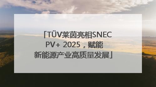 TÜV莱茵亮相SNEC PV+ 2025，赋能新能源产业高质量发展